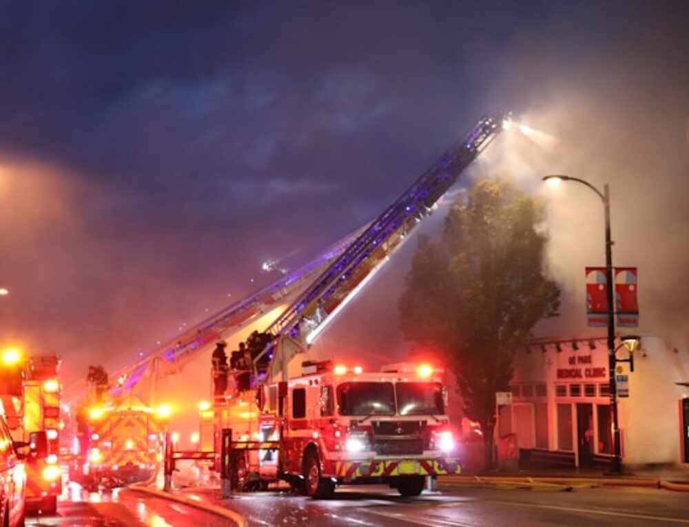 Влияние пожаров на биоразнообразие и экологию